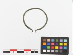 Foto von Bronzearmreif (NHMW-PRAE-023745)